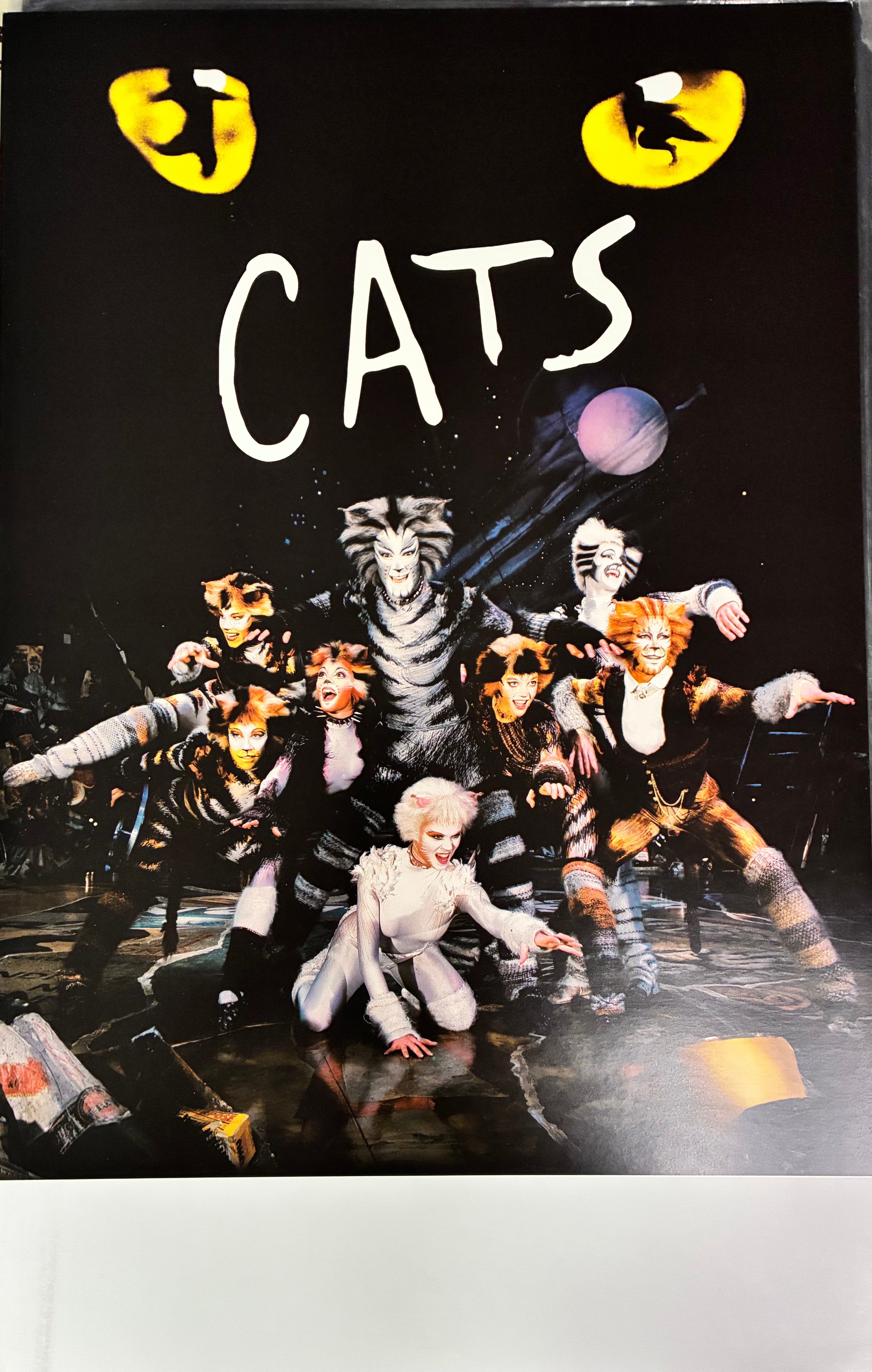 Cats (Double Sided)