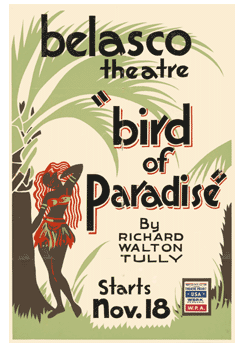 Bird of Paradise