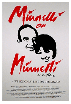 Minnelli on Minnelli