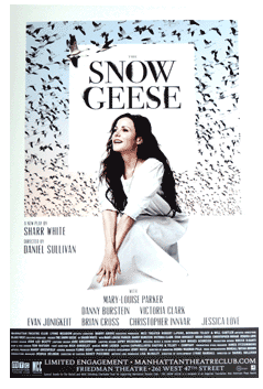 Snow Geese