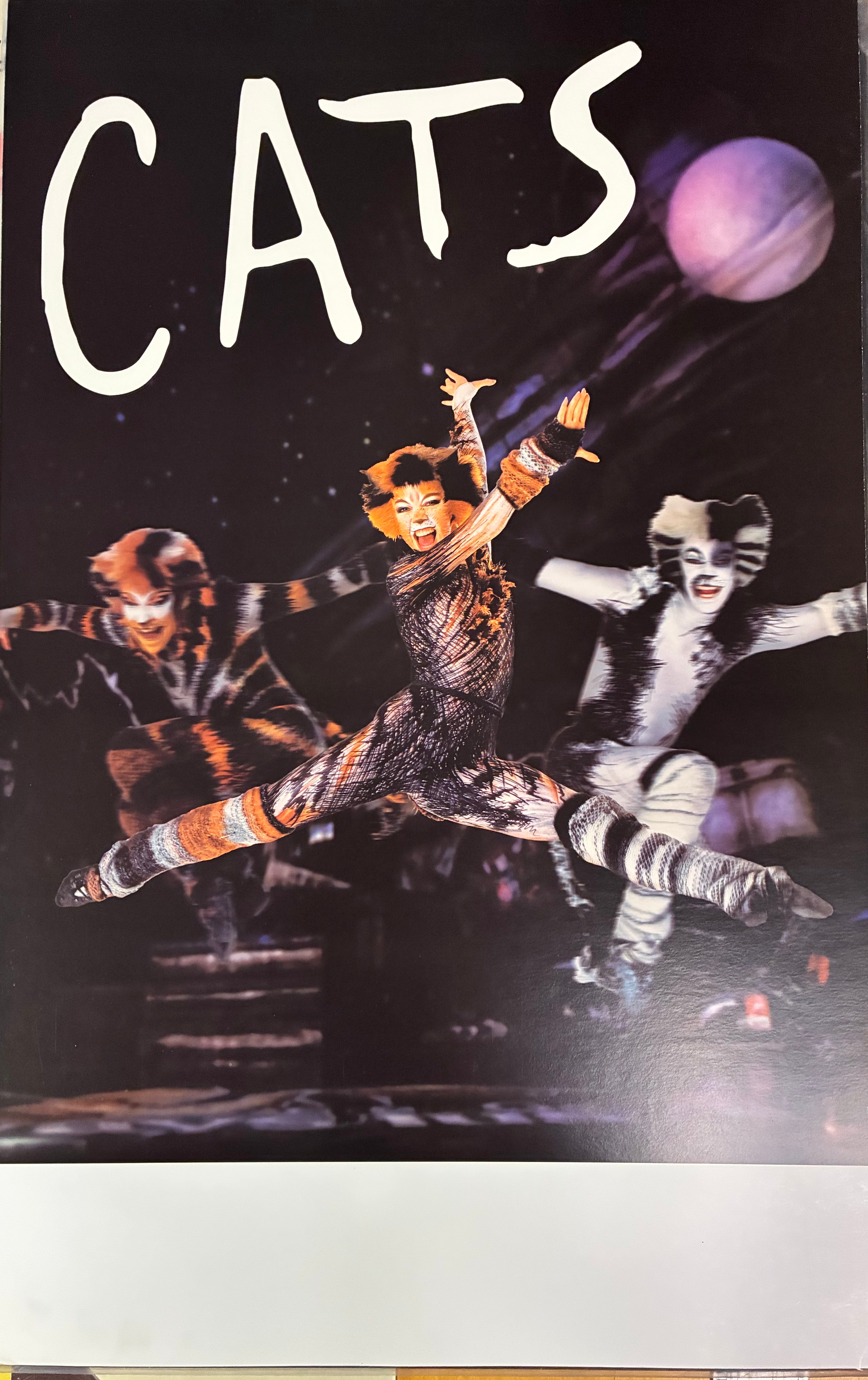 Cats (Double Sided)