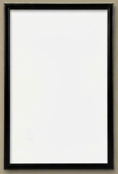 Gently Used Metal Frames 14 x 22 in Black, Silver, Gold
