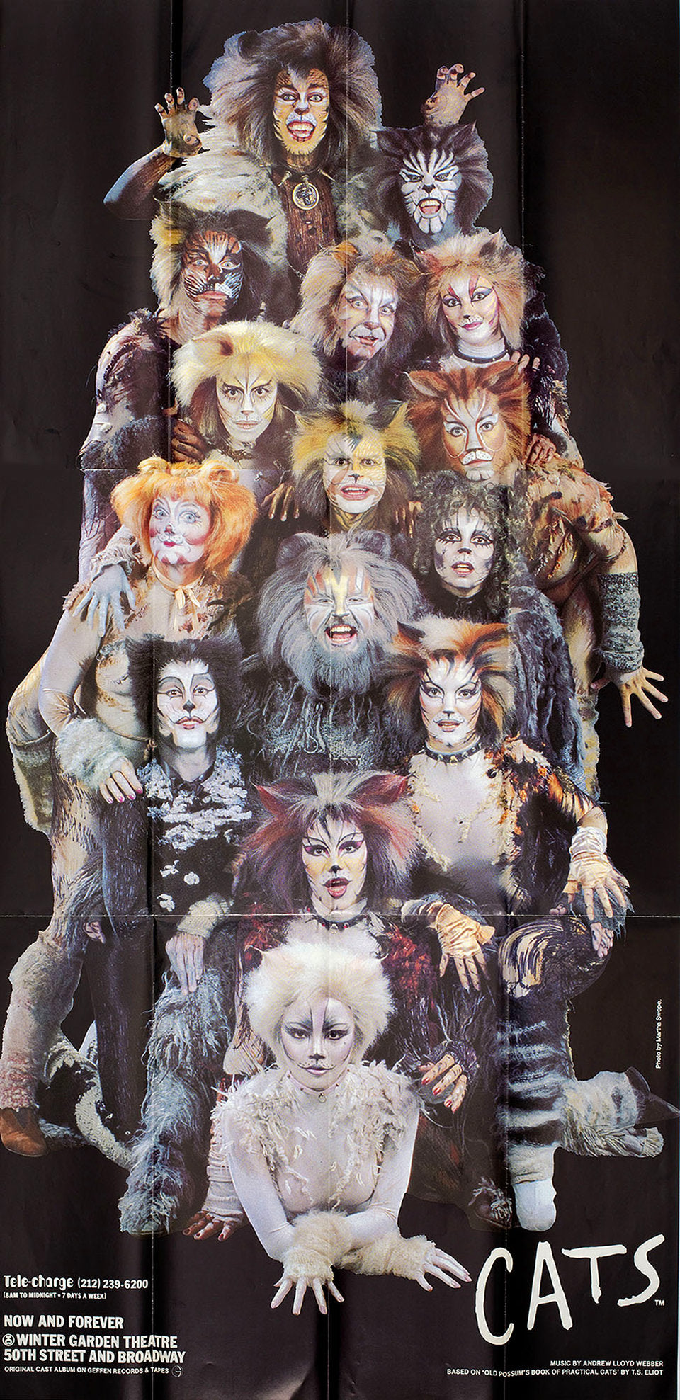Cats (3-sheet, 41 x 81)