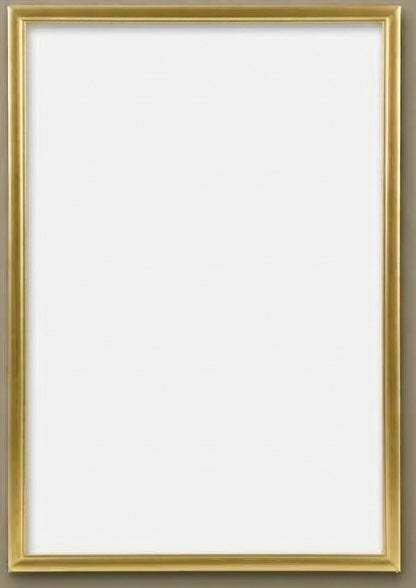 Gently Used Metal Frames 14 x 22 in Black, Silver, Gold