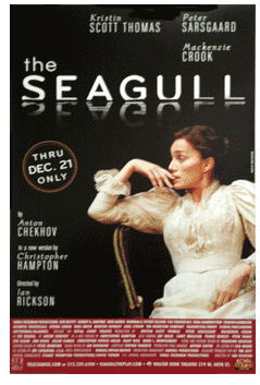 The Seagull