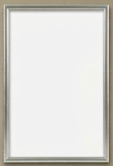 Gently Used Metal Frames 14 x 22 in Black, Silver, Gold